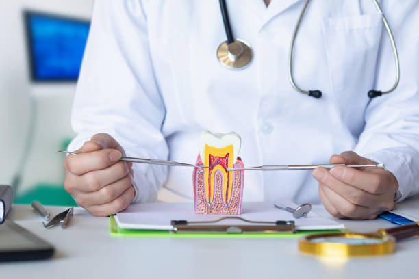Best Emergency Dental Care for Trauma or Injury in Lenox, IA